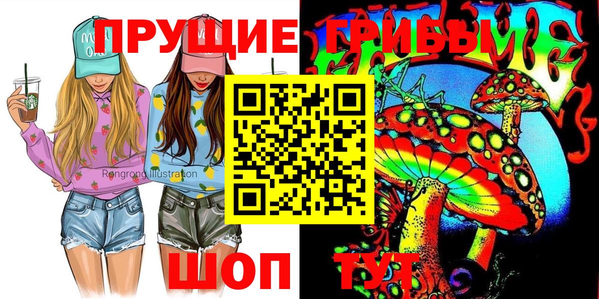 Галлюциногенные грибы Psilocybe  как найти наркотики  Буйнакск  Вход с VPN 